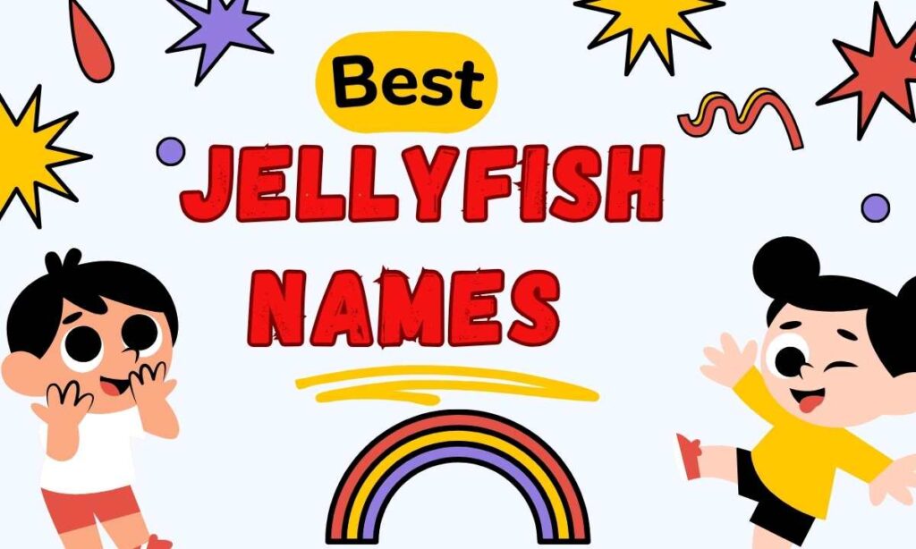 Best Jellyfish Names