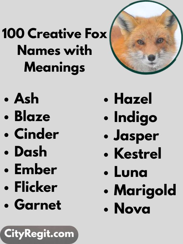 100 Creative Fox Names with Meanings