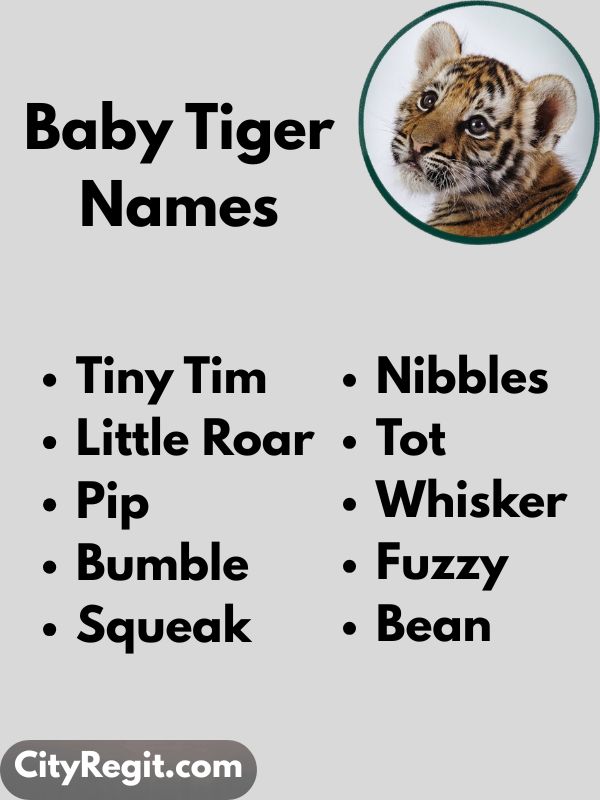 Baby Tiger Names