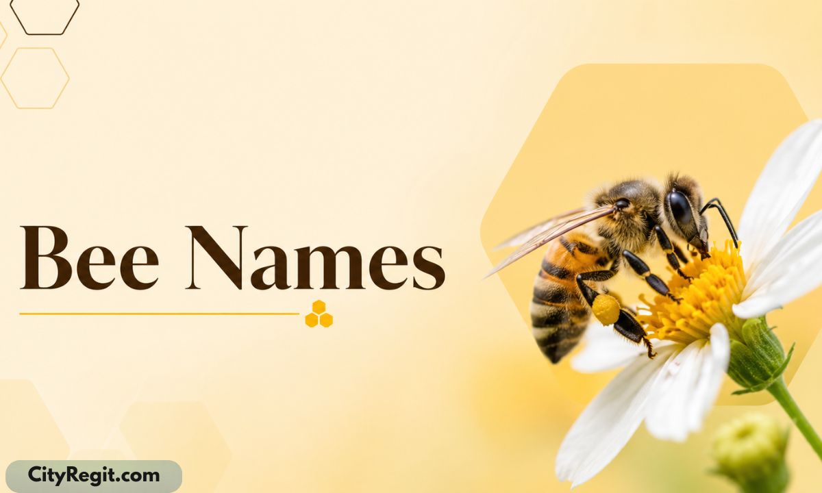 Bee Names