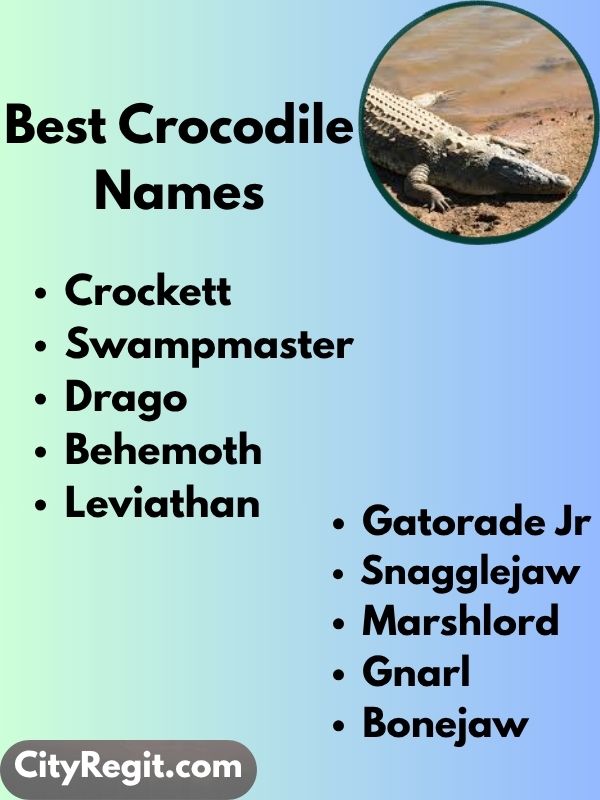 Best Crocodile Names
