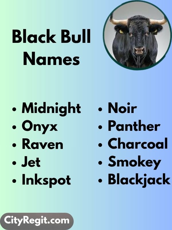 Black Bull Names