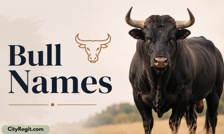Bull names