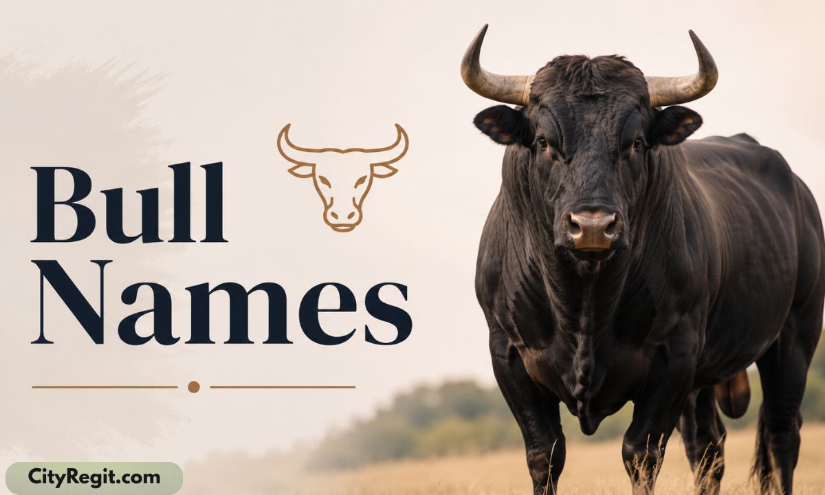 Bull names