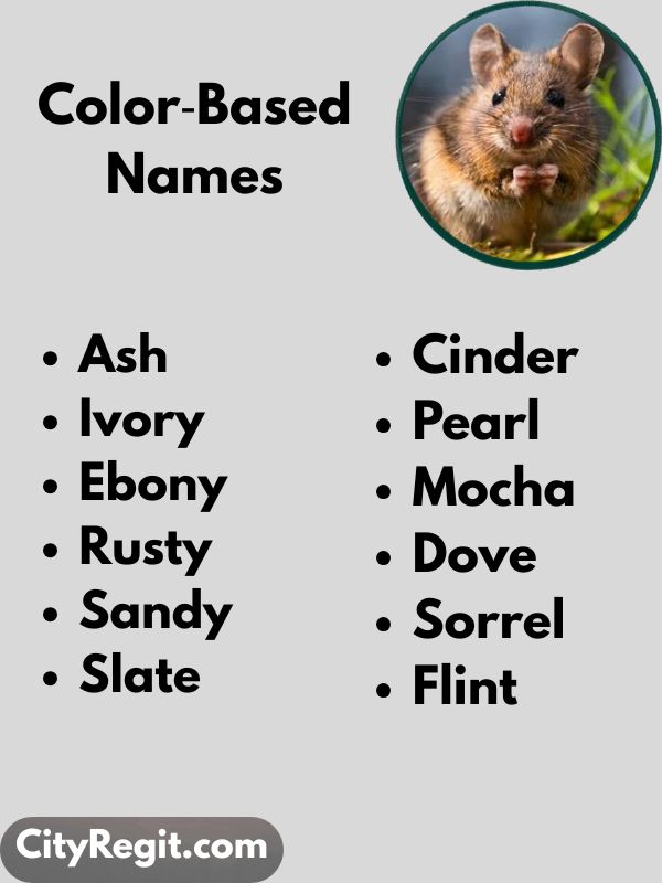 Color‑Based Names