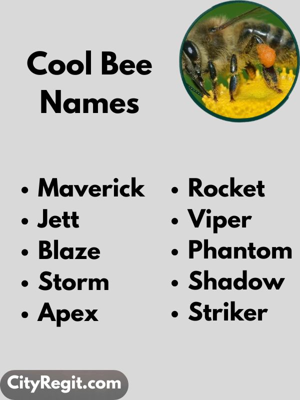Cool Bee Names