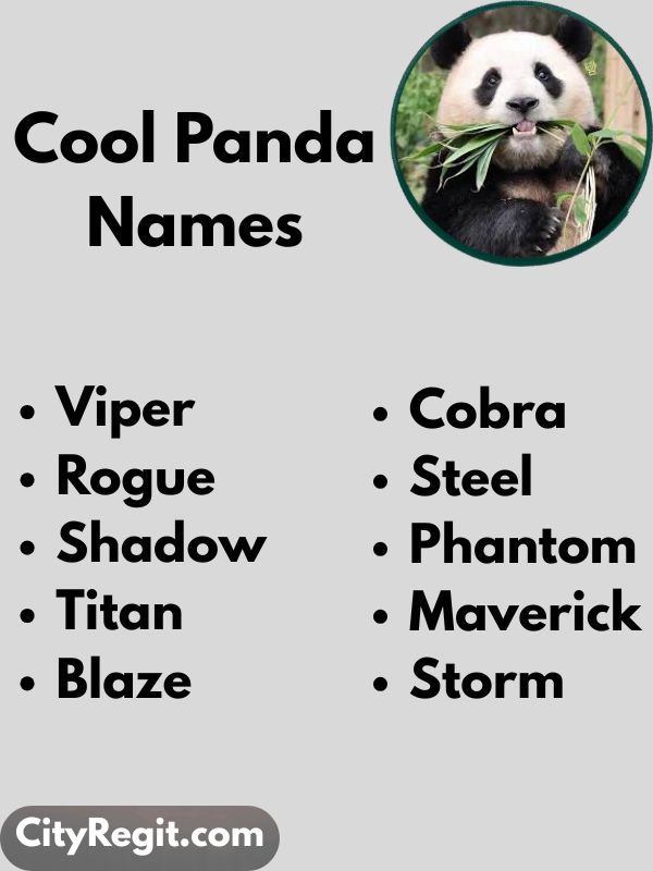 Cool Panda Names