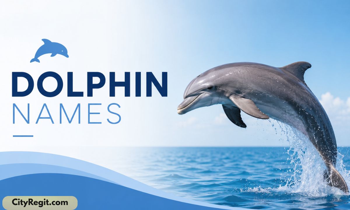Dolphin Names