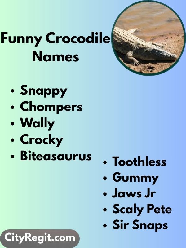 Funny Crocodile Names