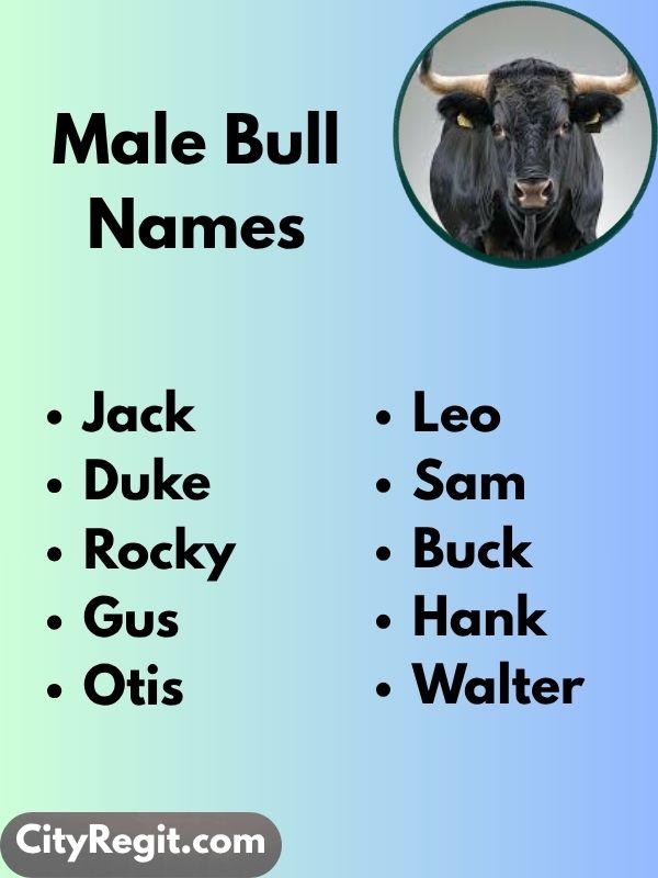 Male Bull Names