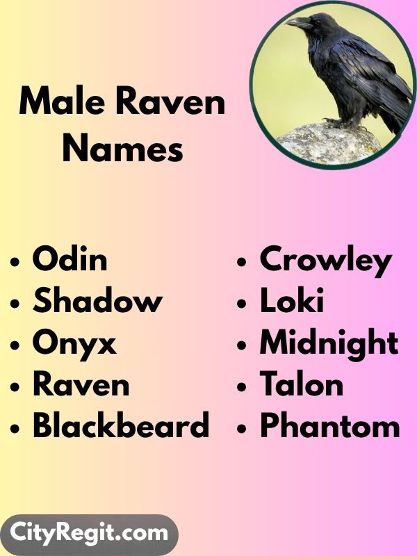 Male Raven Names