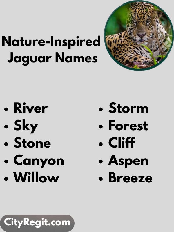 Nature-Inspired Jaguar Names