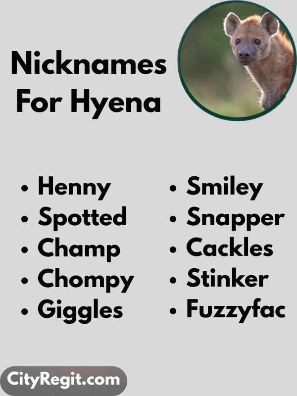 Nicknames For Hyena