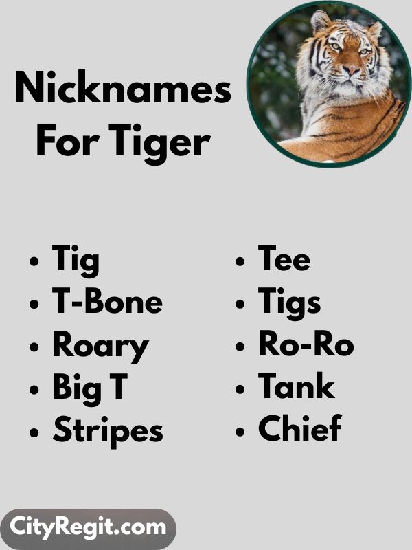 Nicknames For Tiger