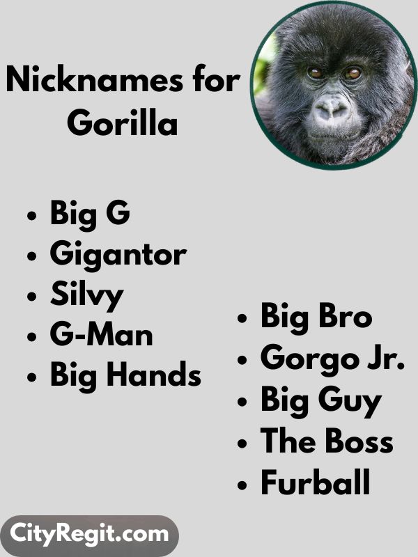 Nicknames for Gorilla