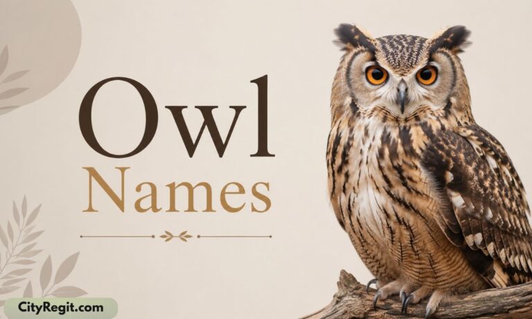 Owl Names
