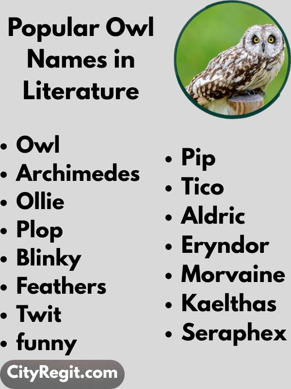 Popular Owl Names in Literature
