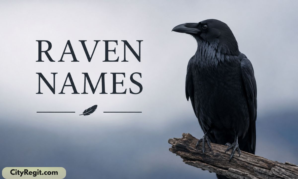 Raven Names