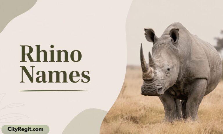Rhino Names
