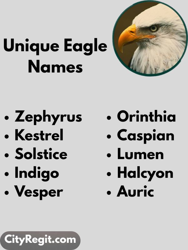 Unique Eagle Names
